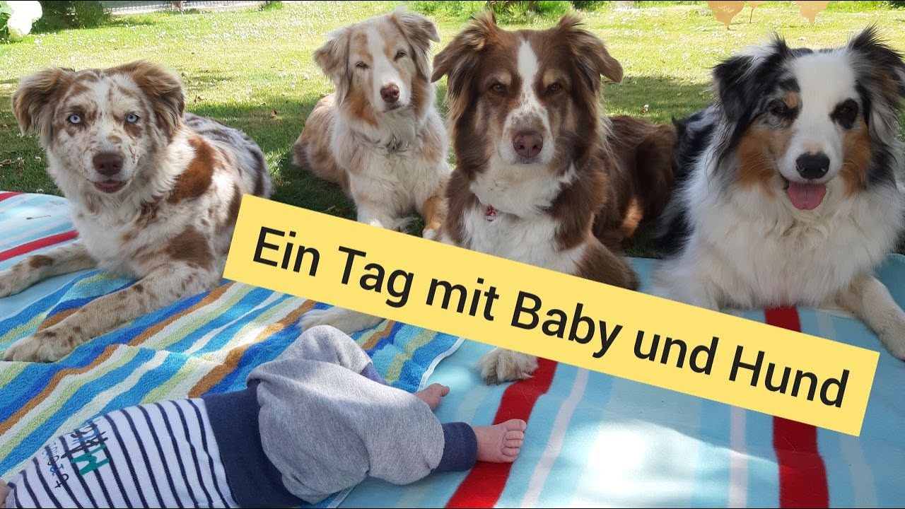 Ein Tag mit Baby und Hunden | Unsere Tagesroutine seit das Baby da ist