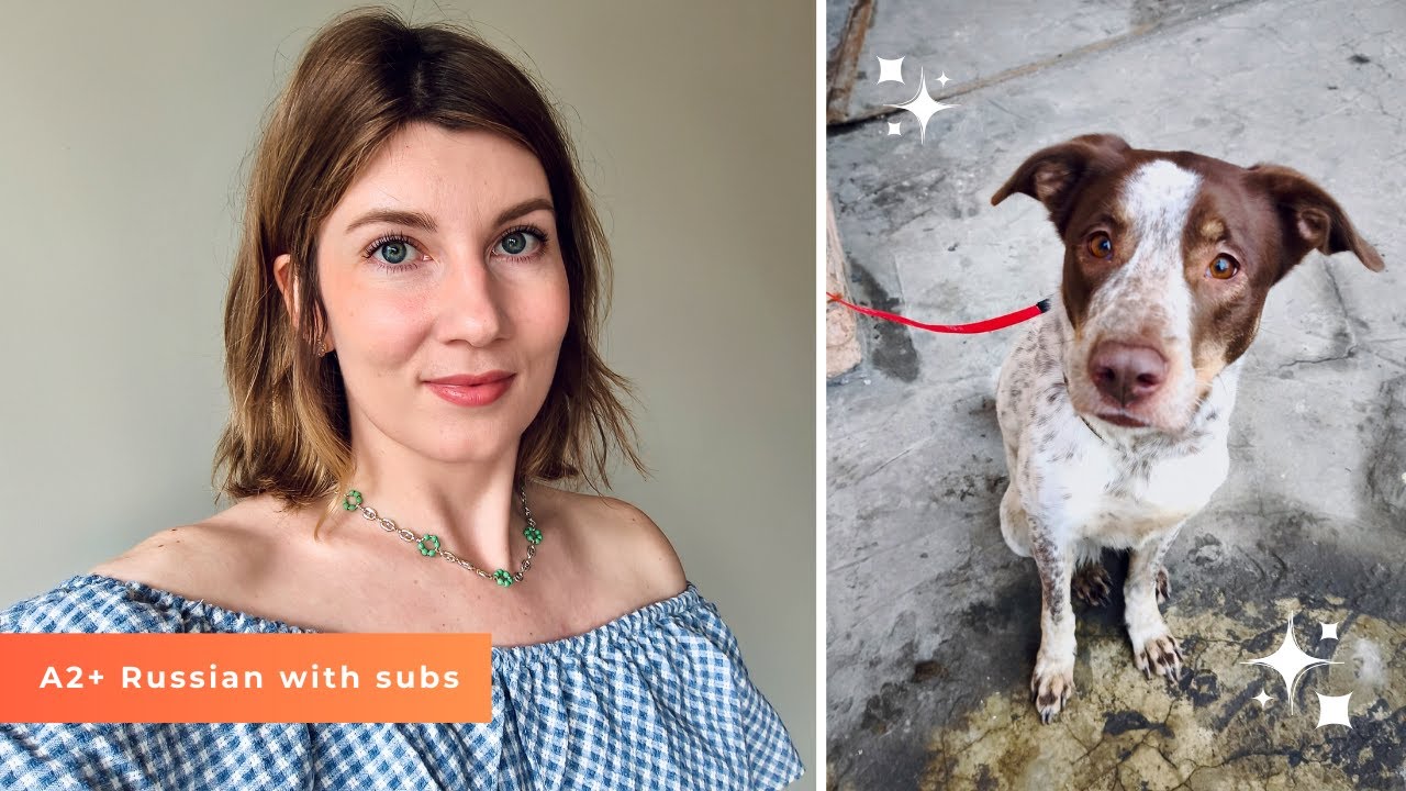 SAVING A DOG: Easy Russian Through Stories | Verbs of Motion in Context. Slow Russian listening SUBS