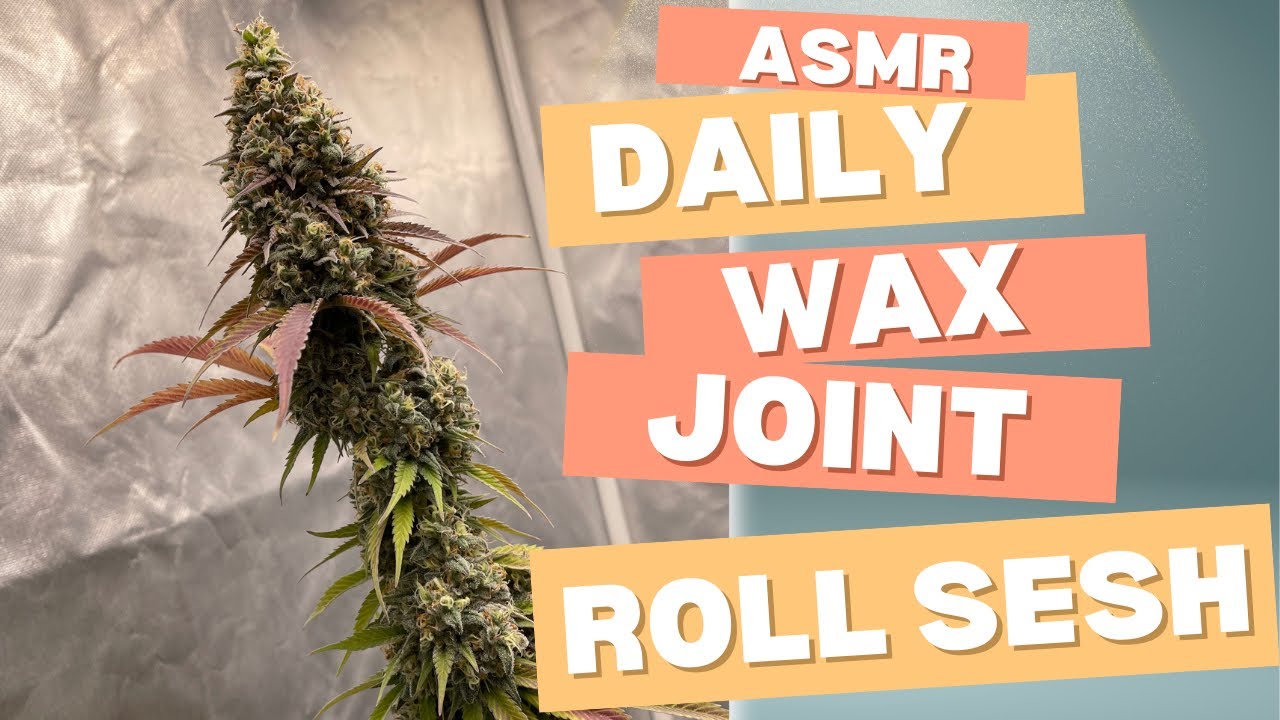 ASMR Wax Joint Rolling Sesh!
