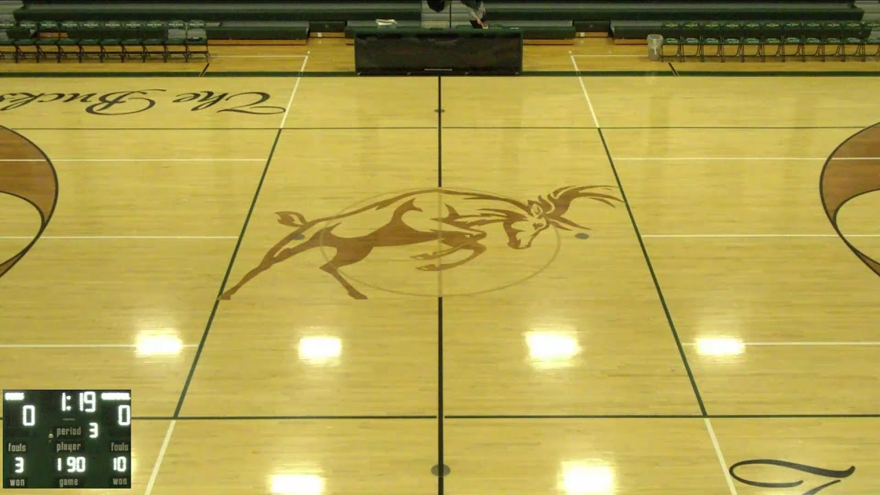 Pine River High School vs Big Rapids High School Mens Varsity Wrestling