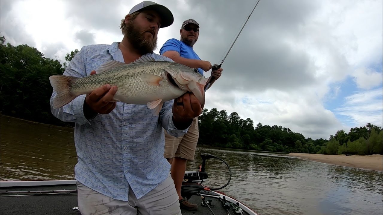 Bass Fishing Ocmulgee River | Summertime River Fishing