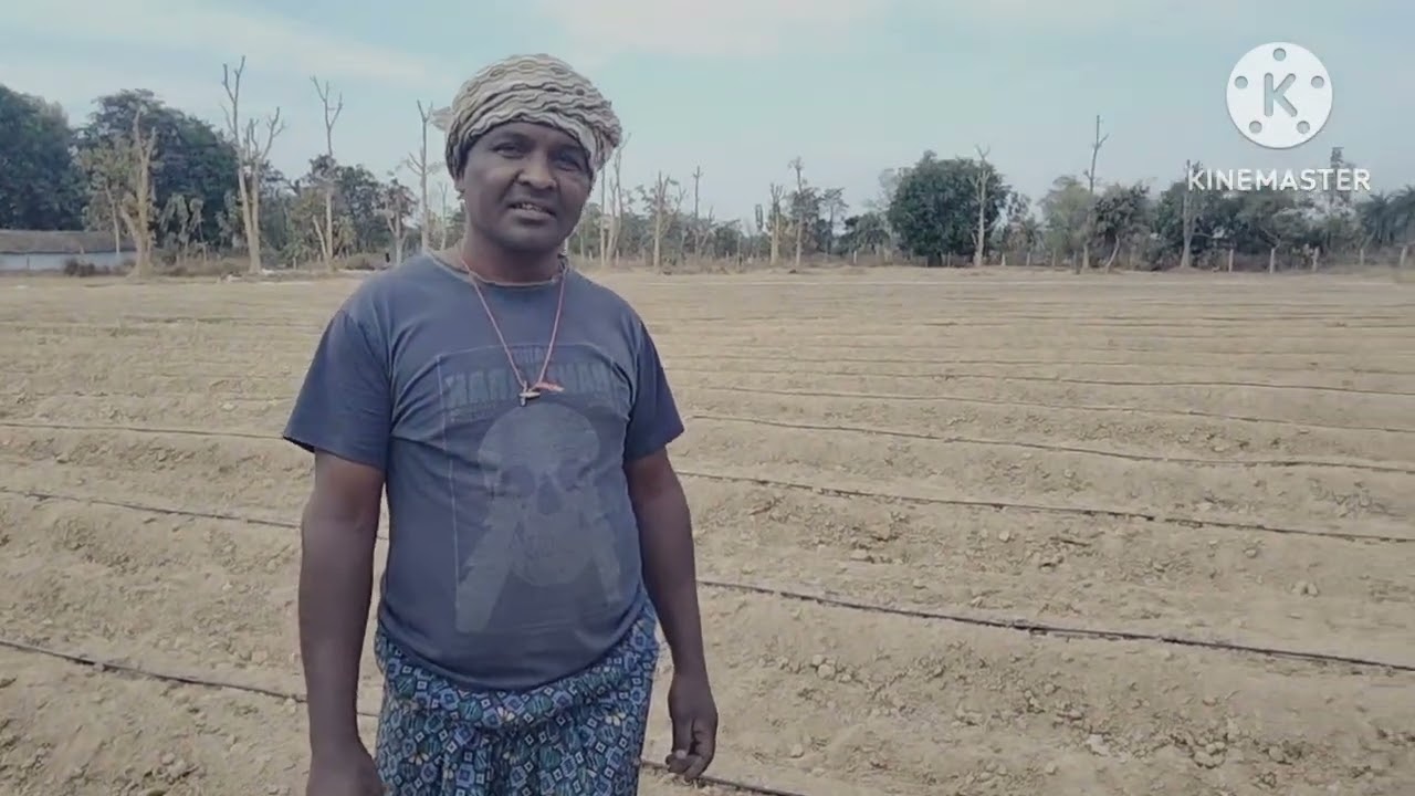 #drip#irrigationsyestem#captaindrip#subsidy#silpunji#west Singhbhum 