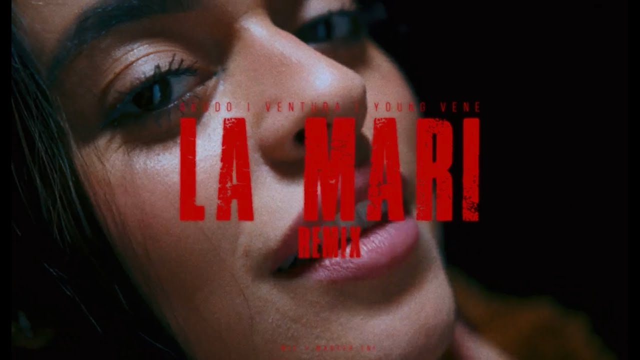 La Mari Remix - Akudo (feat. Young Vene & Ventura)