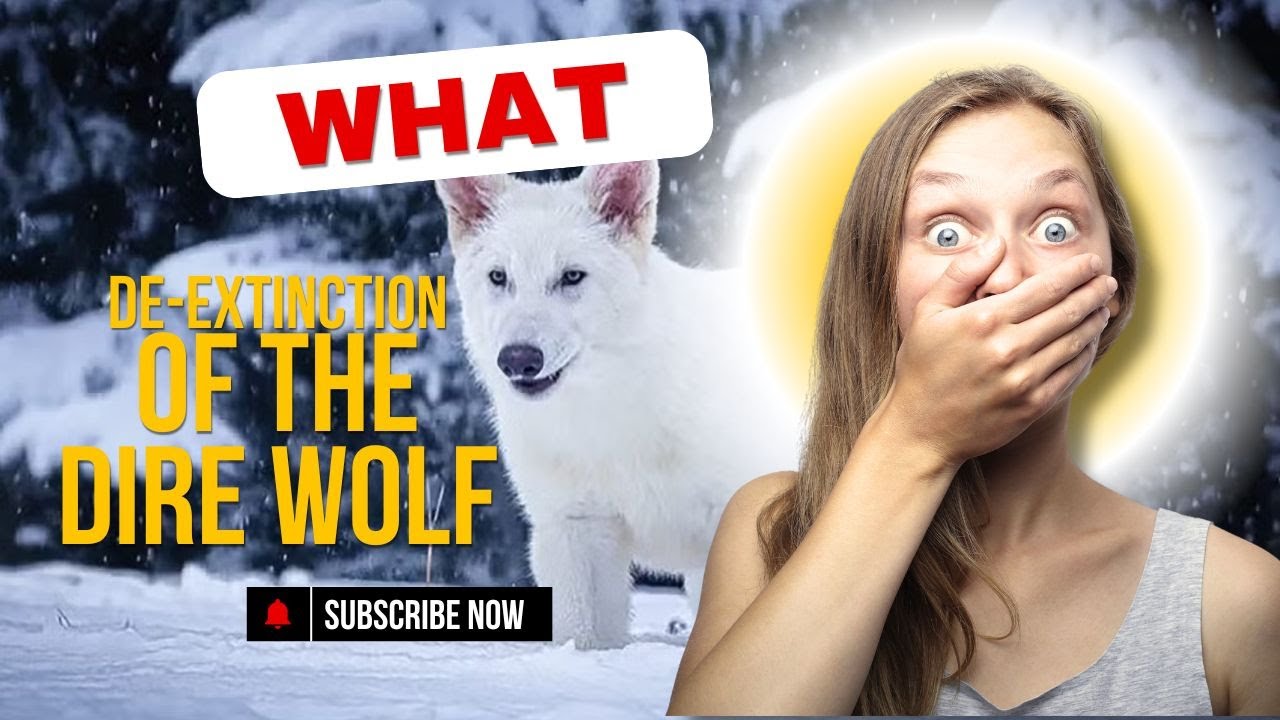 Can We Bring the Dire Wolf Back? | The Science of De-Extinction and Resurrecting Ancient Predators
