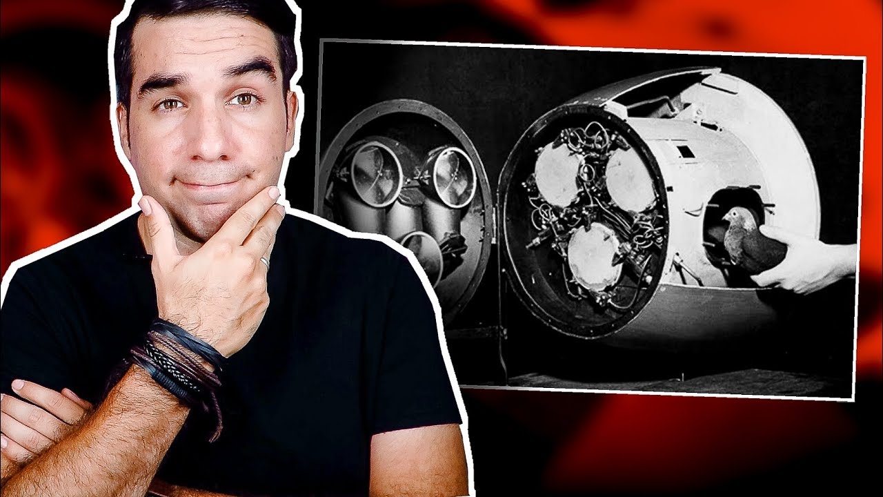 Los extra&ntilde;os experimentos de Skinner