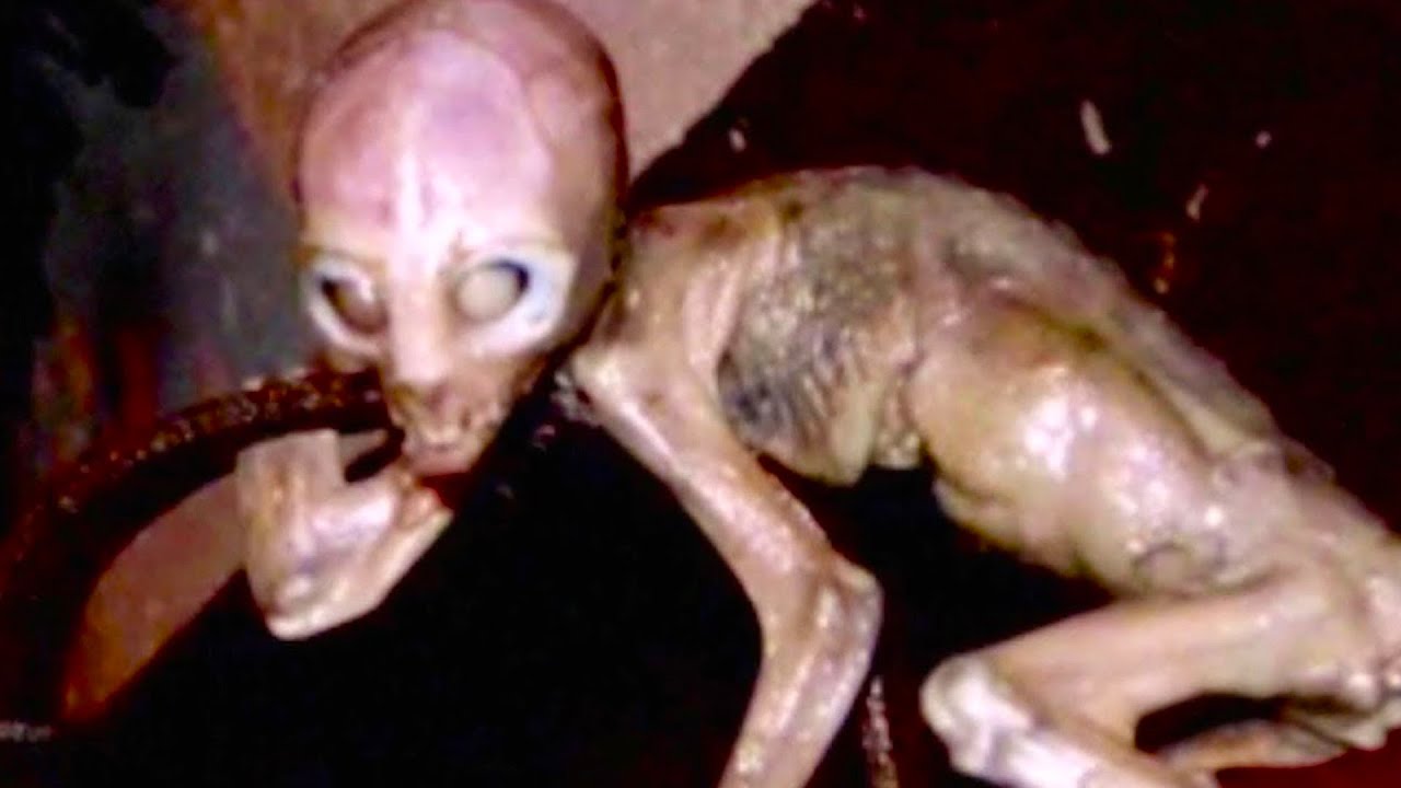 Top 5 Terrifying Alien Sightings NASA Tried To Cover Up