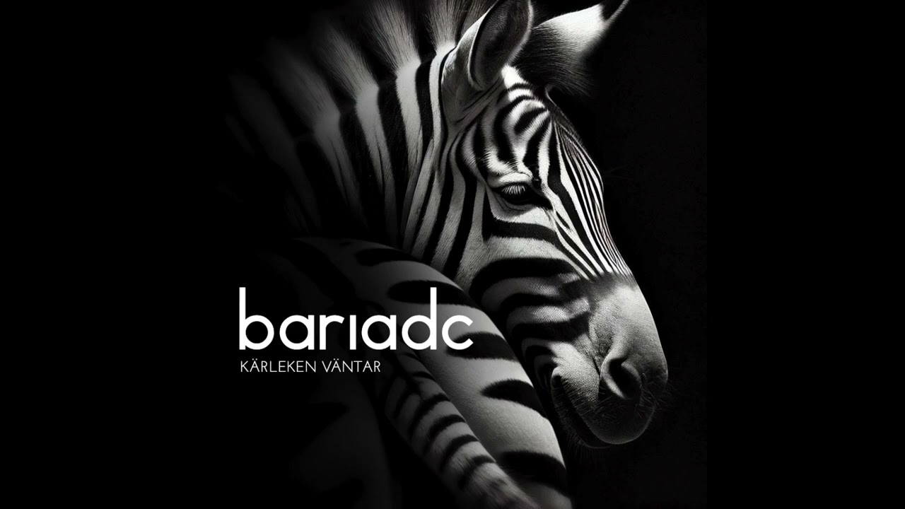 Born And Raised In A Donkey Cage - Kärleken Väntar (kent-cover)