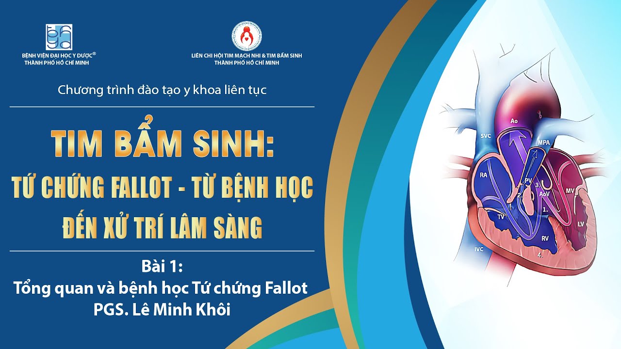 Bài 1: Tổng quan và bệnh học Tứ chứng Fallot - PGS. Lê Minh Khôi