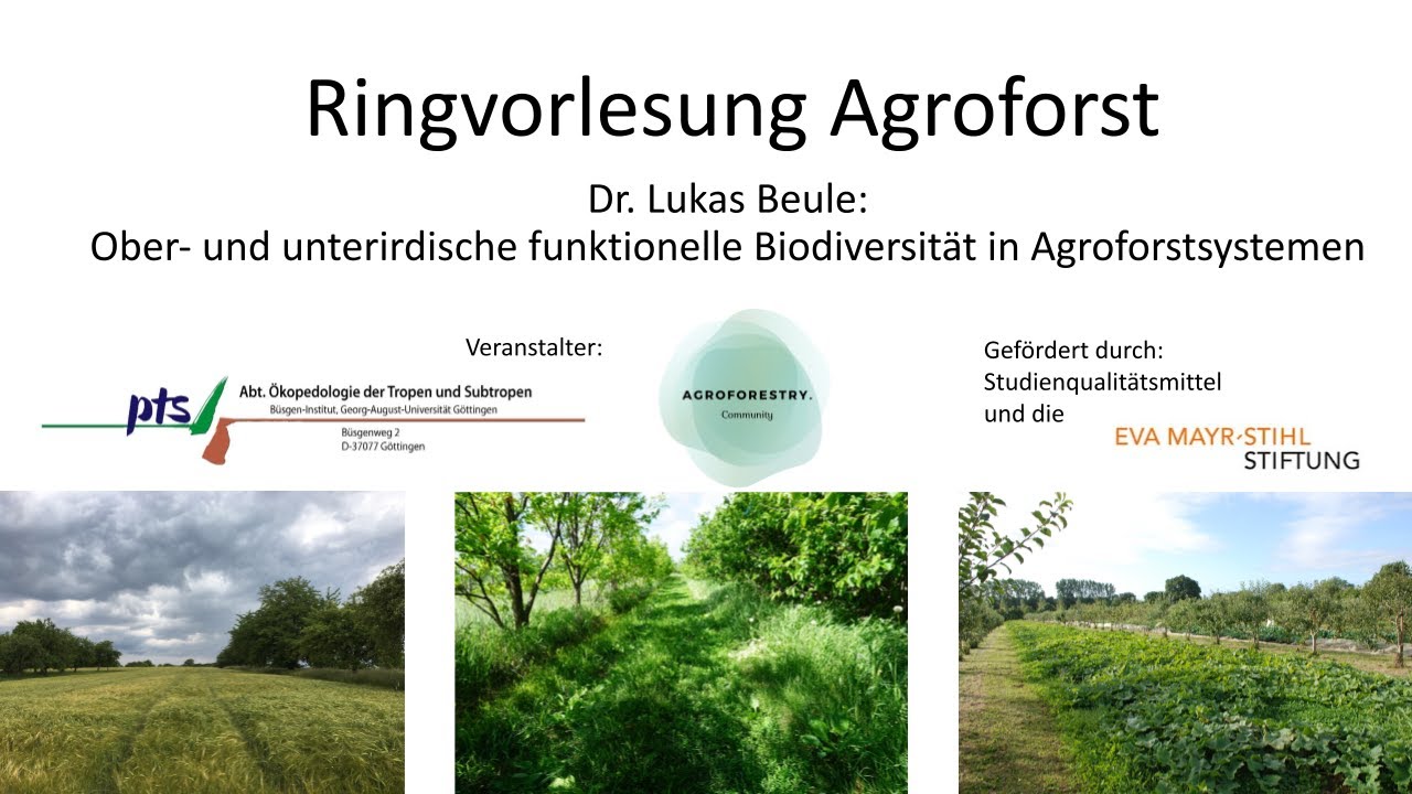 Agroforst Mittwoch - 06.12.2023 - Dr. Lukas Beule Ober- und Unterirdische Biodiversität im Agroforst