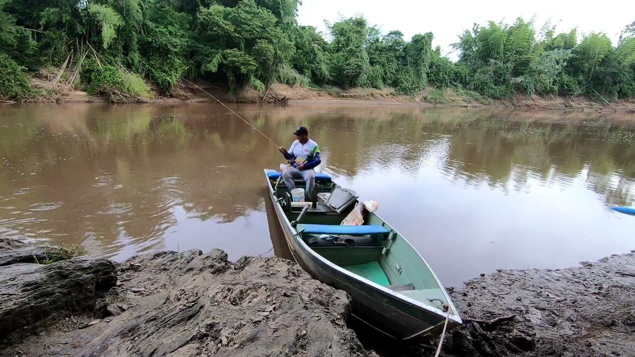O MELHOR JEITO DE PEGAR ISCAS NA VARINHA DE BAMBU (#pescaria  #riomiranda, #culinária)