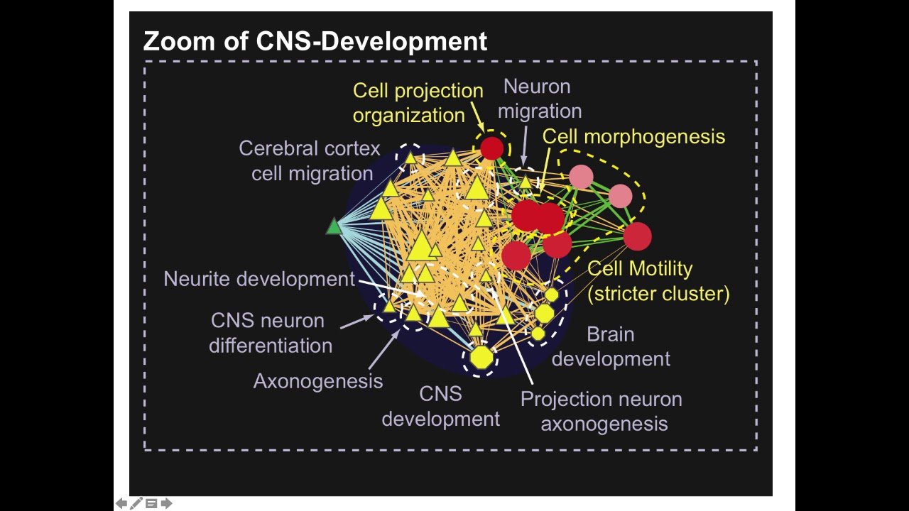 Introduction to Pathway and Network Analysis of Gene Lists