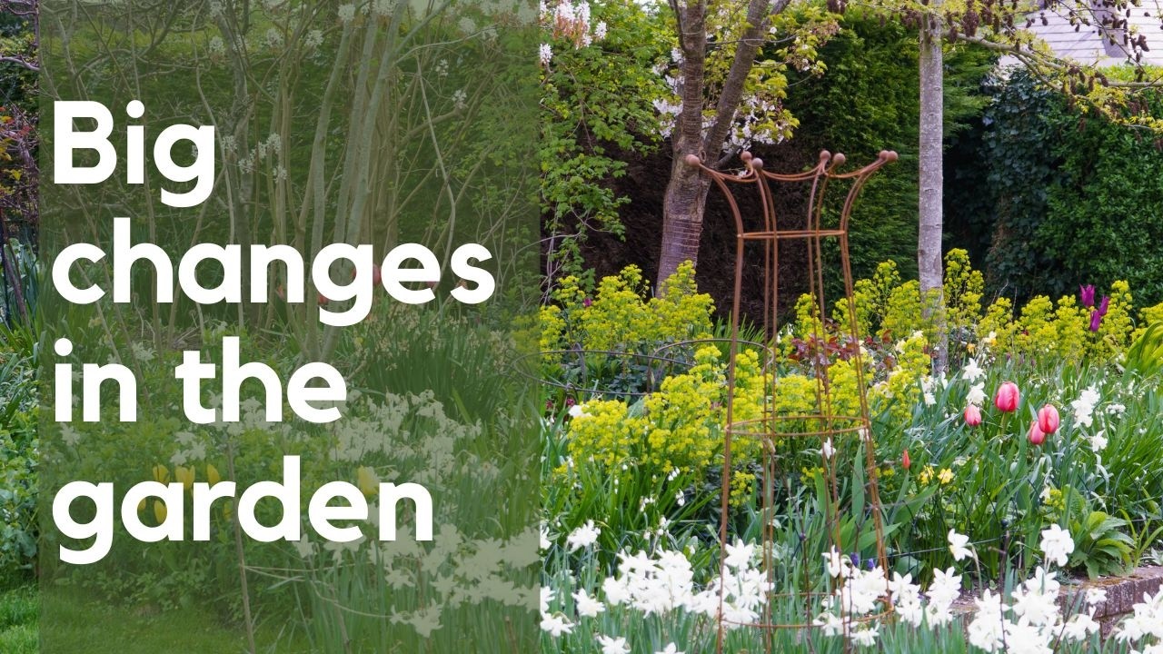 I changed my garden but made two mistakes - the spring garden tour