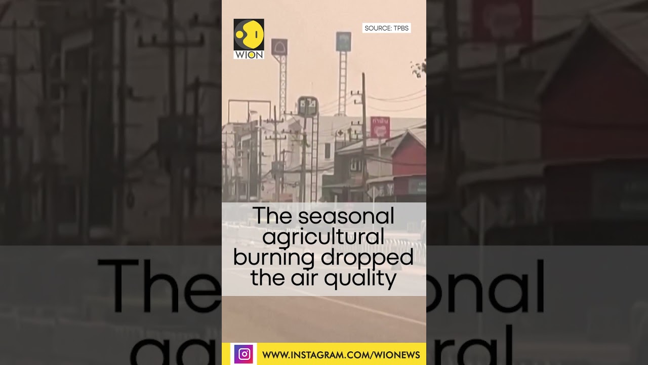 Thailand's Chiang Mai city shrouded in pollution I WION Shorts