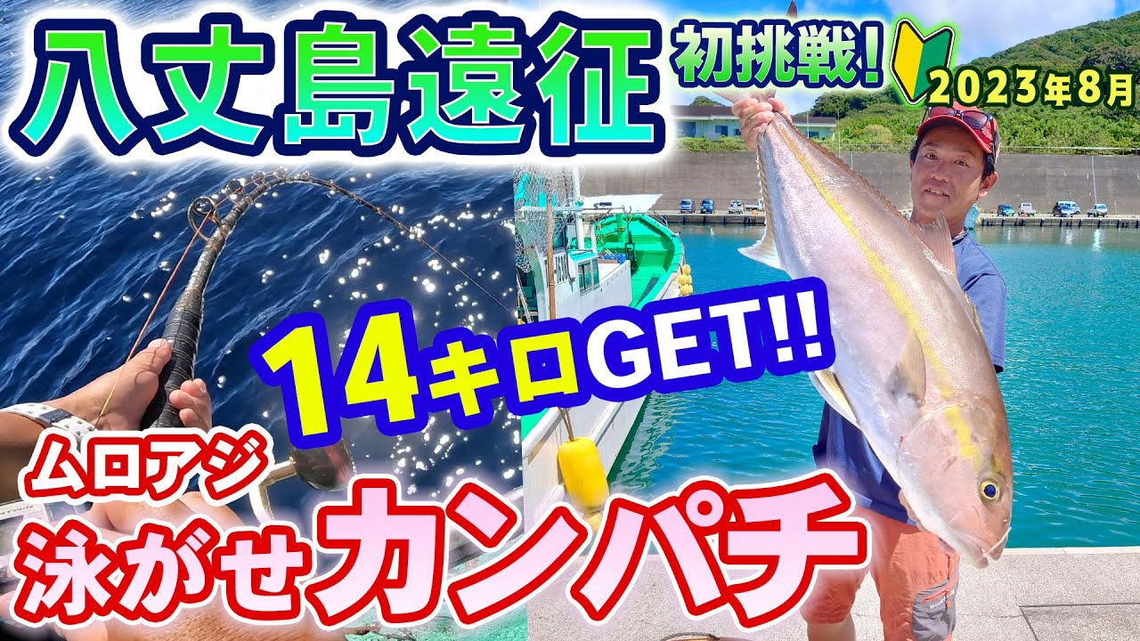【八丈島遠征・初挑戦・泳がせカンパチ】大型カンパチ14kgゲット！◆船中大型連発！◆ムロアジ泳がせカンパチ狙い◆八丈島遠征(2日目)2023.8.27(4K動画)