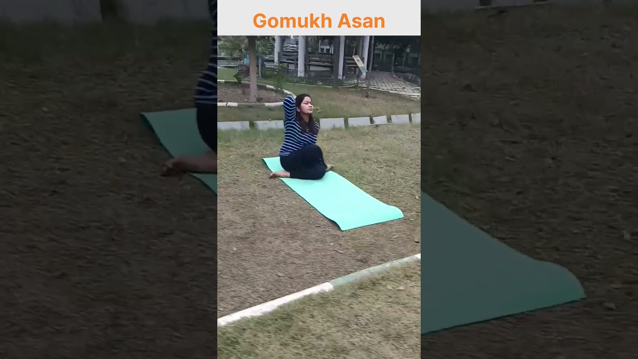 Gomukh Asan improve flexibility, posture & respiratory system & relief from back pain and more
