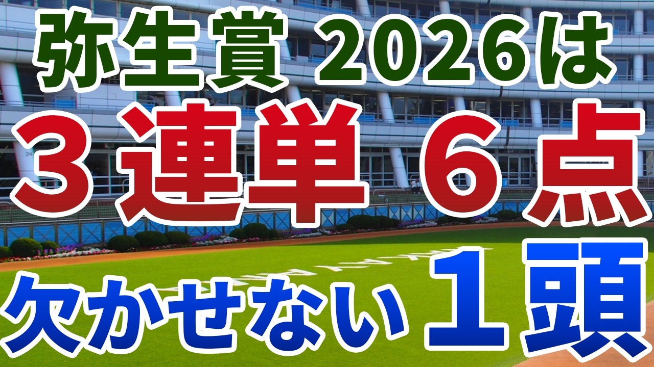 弥生賞ディープインパクト記念2026 追い切り後【買いの1頭】公開！トライアル特有の“賞金問題”を考察！能力重賞級でも低評価に甘んじる１頭は？
