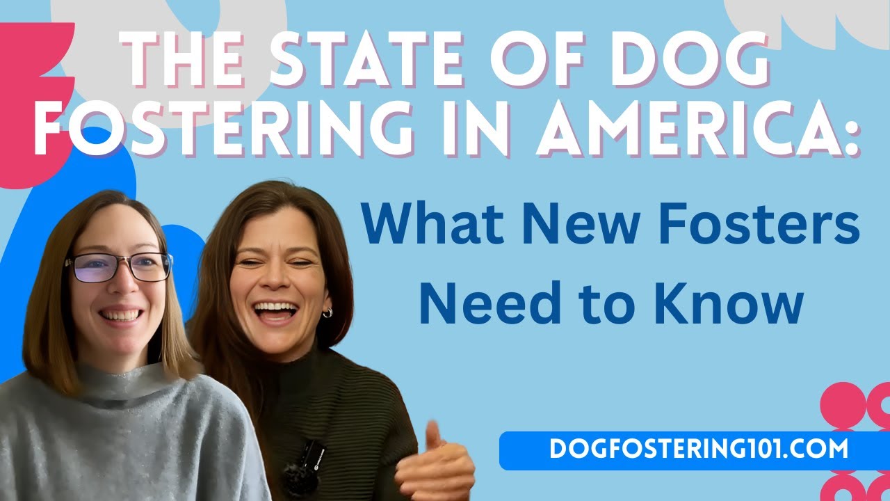 The State of Dog Fostering in America: What New Fosters Need to Know
