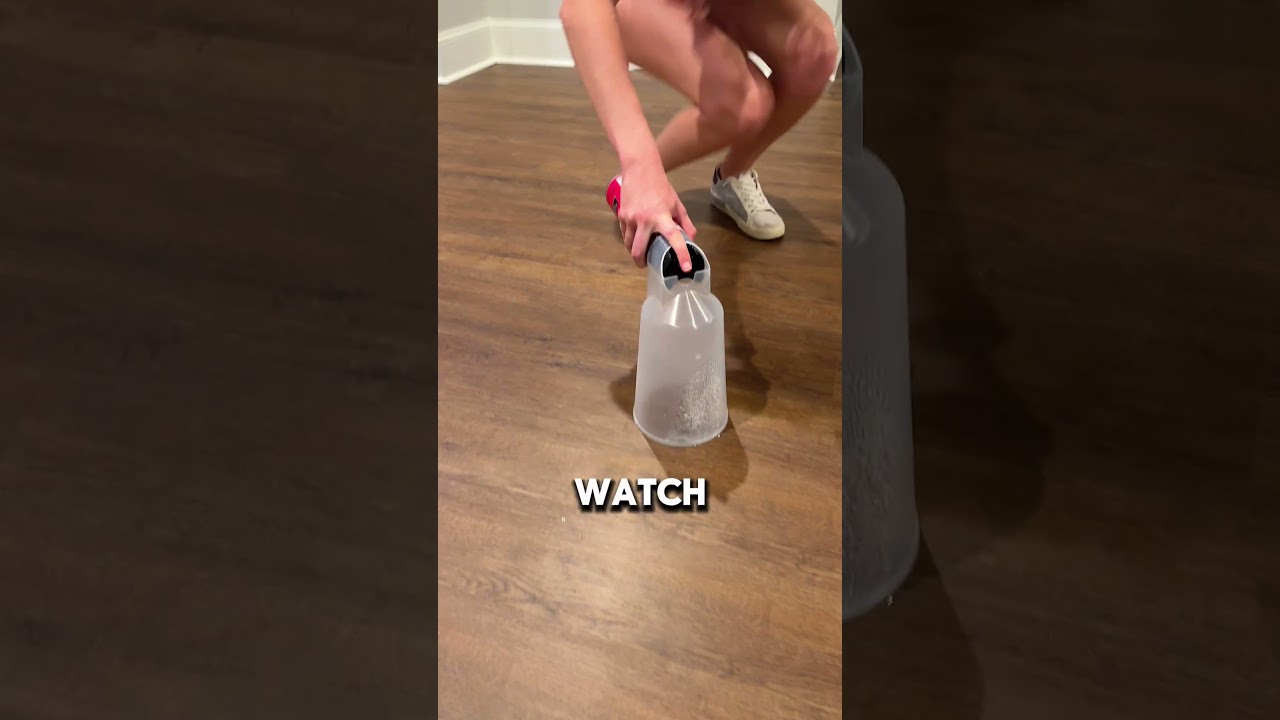 Как легко избавиться от нашествия тараканов (📸: trapdbugs)