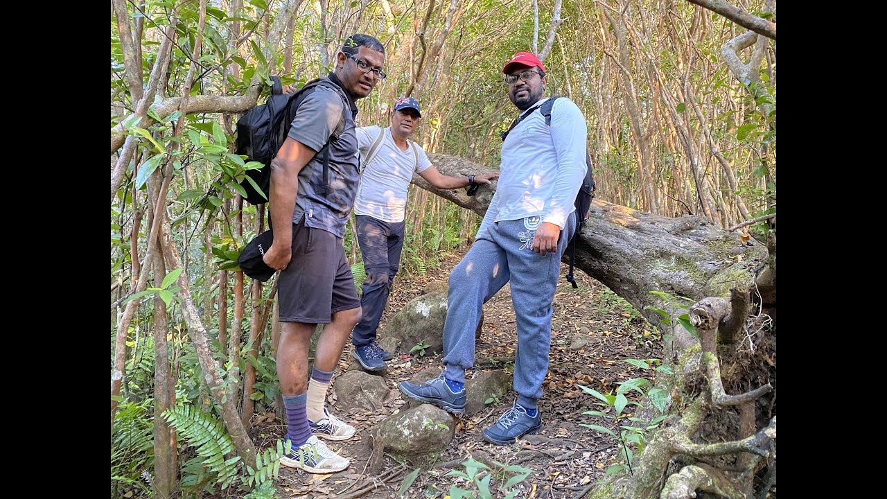 Piton de la Petite Riviere Noire Trekking - 07.11.2021 - @ 5.45am