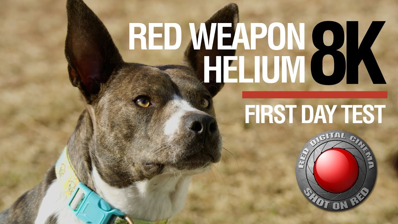 RED Weapon Helium 8K - First Day Test