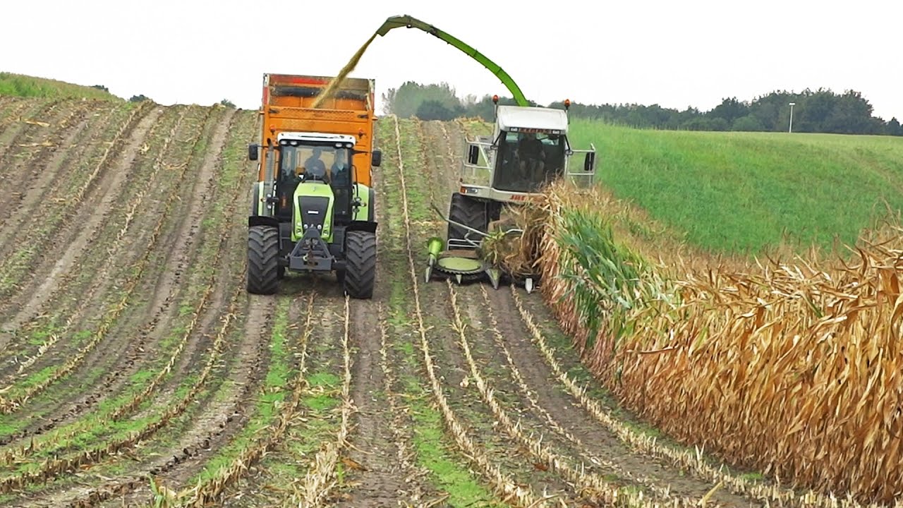 Mais hakselen 2016 | Claas Jaguar 840 | Axion 820 + Ares 816 RZ | Lagerweij | Overberg | NL.
