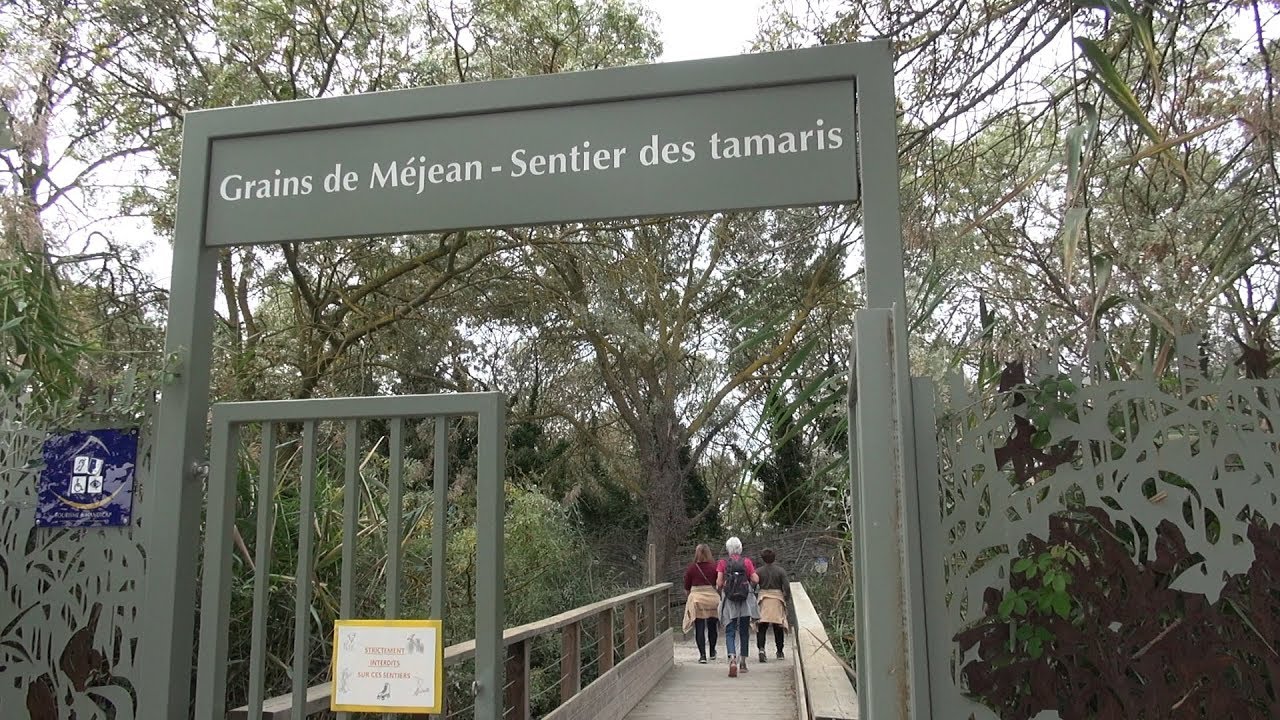 L'Etang du Méjean