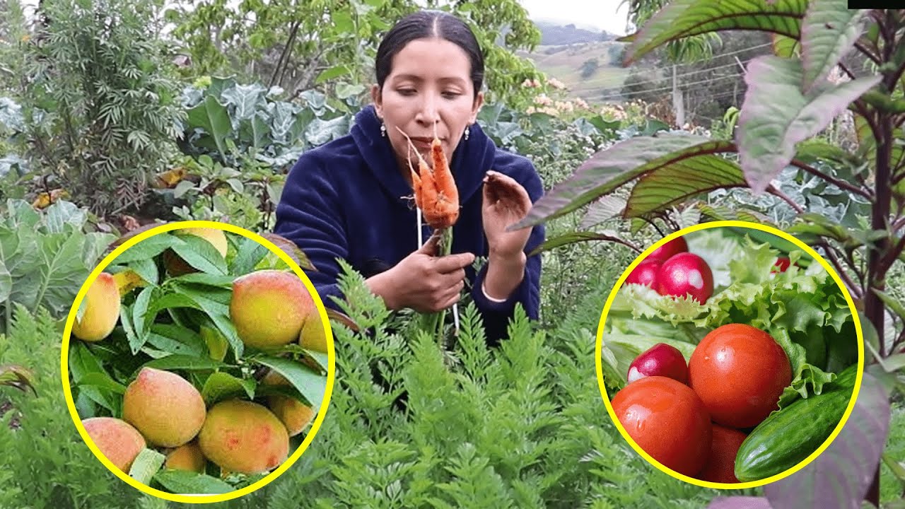 Cosechando Verduras de mi Huerta.