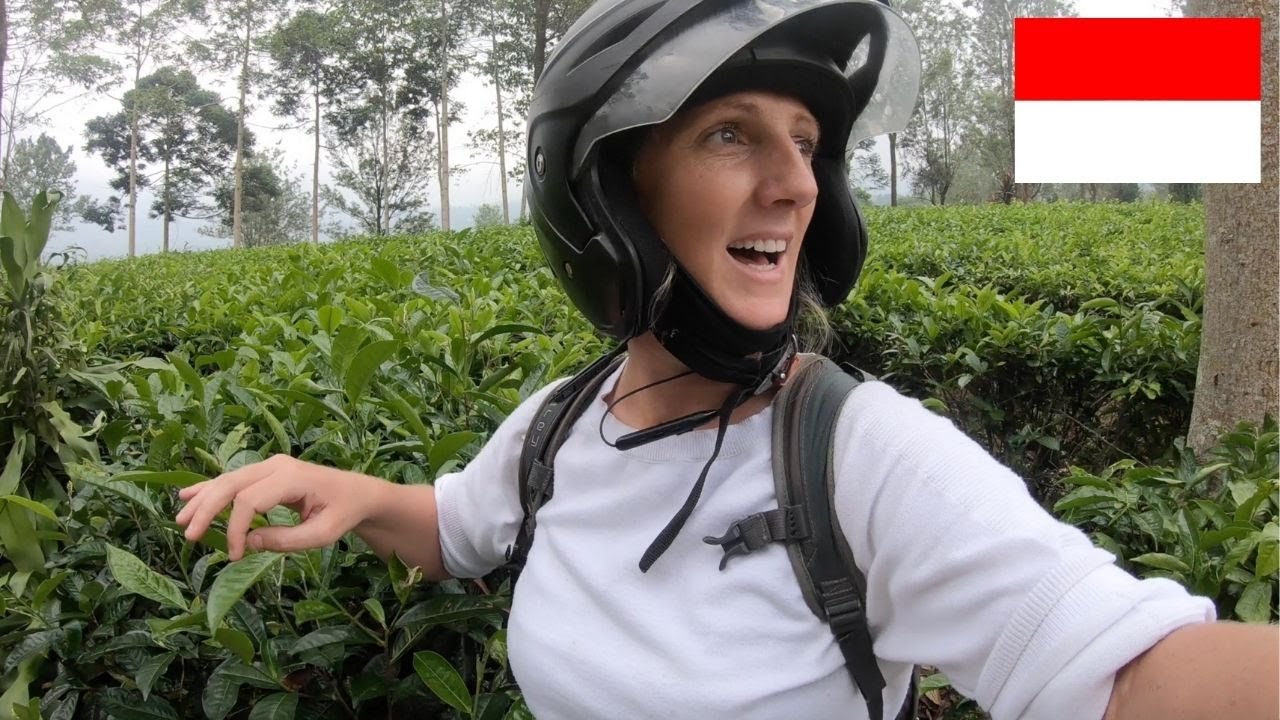 Exploring The Hills of PUNCAK, West Java