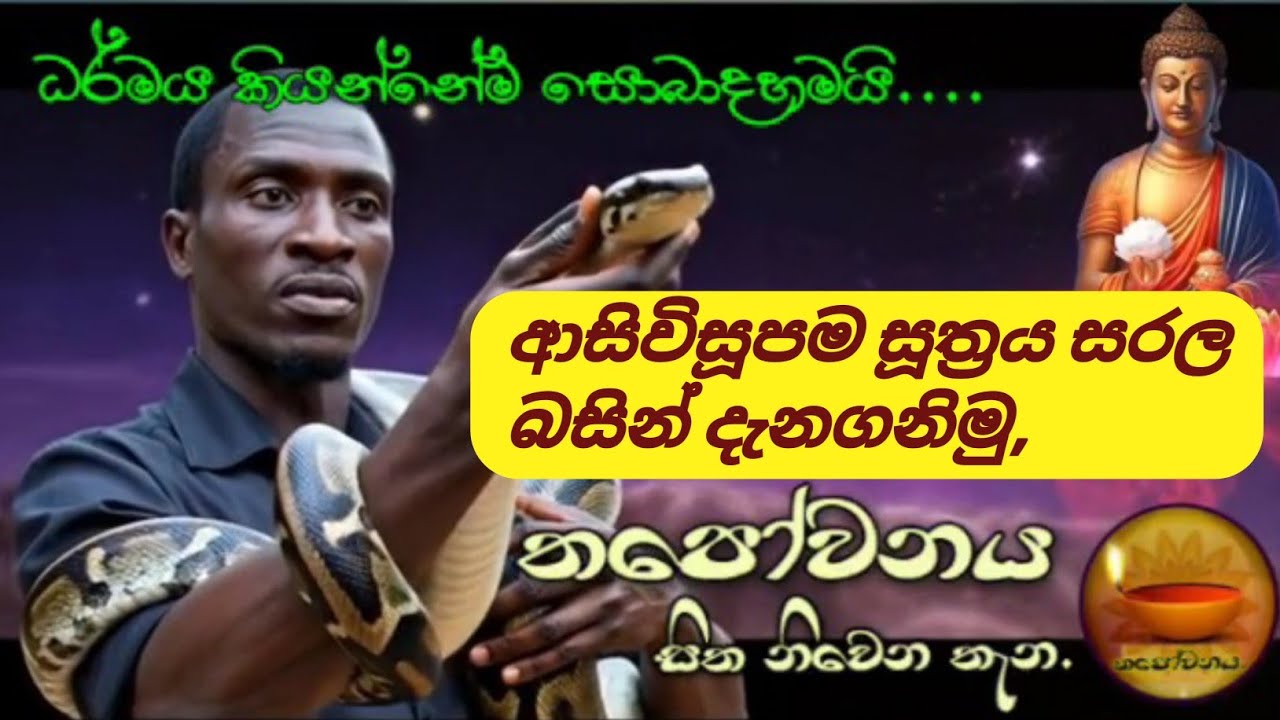ආසිවිසූපම සූත්‍රය සරල බසින් දේශනාව පැවැත්වූයේ තපෝවනය ආරණ්‍යයේ සිට#Thapowanaya සිත නිවෙන තැන 🪷
