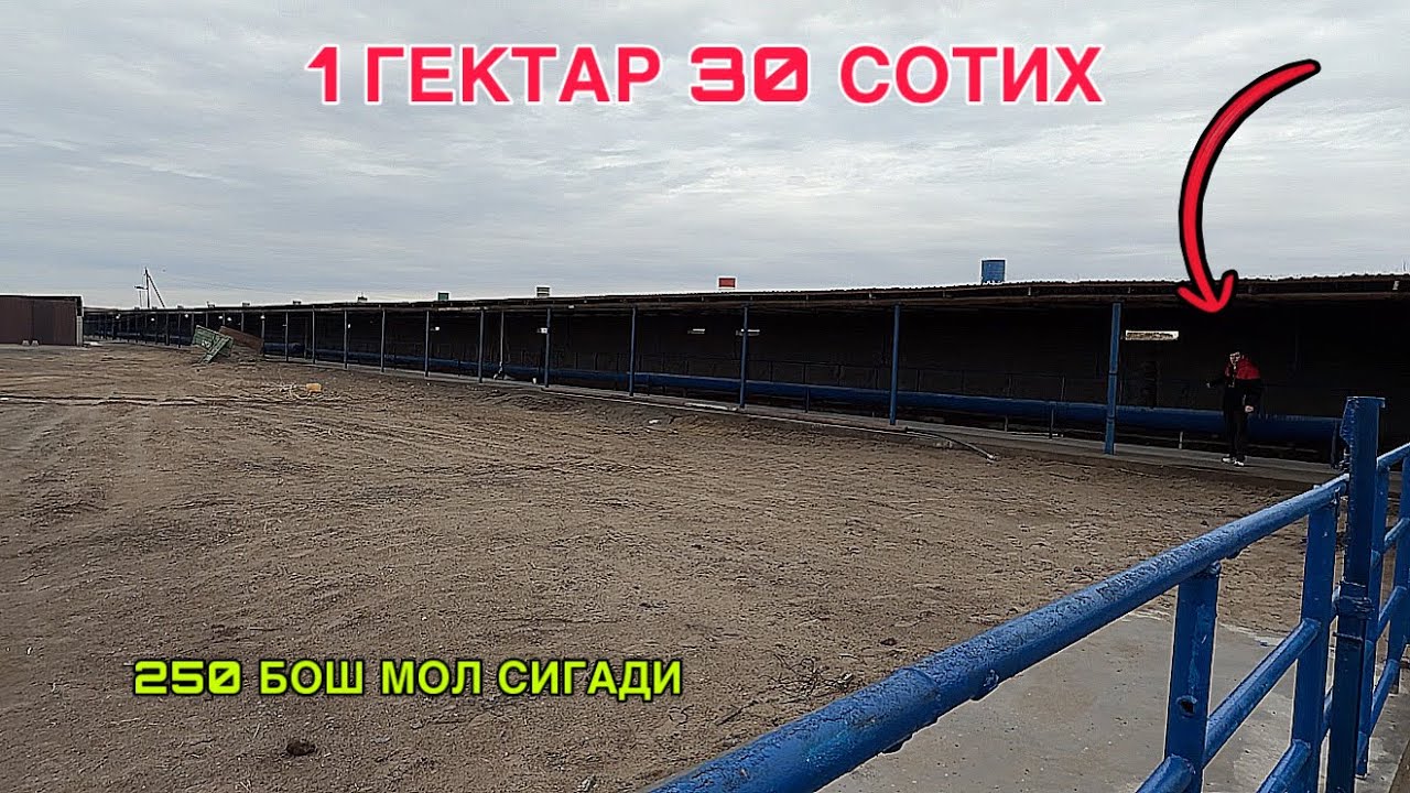 БУ ВИДЕОНИ АЛЛБАТДА КЎРИНГ ХАВАС КИЛАСИЗ 