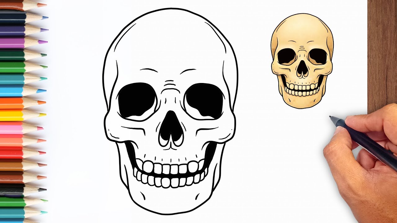 How to draw Skull - Easy Drawing for Kids & Beginners