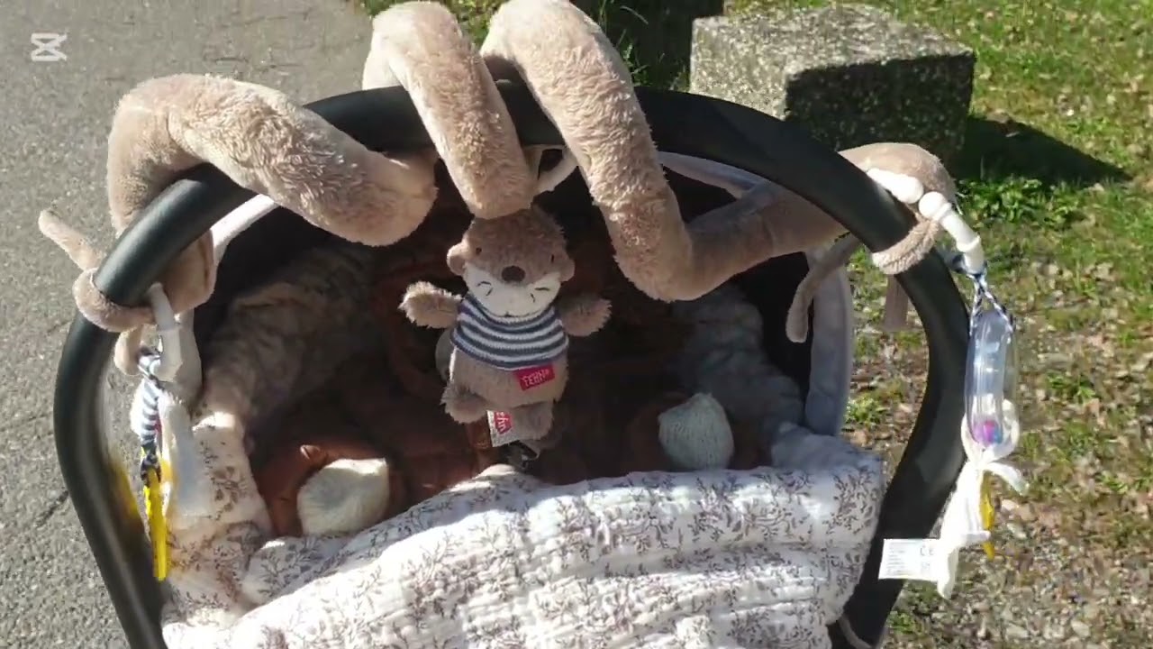 🪴🌲🪴Spaziergang Video mit Marco/Rebornbaby Rollenspiel 🪴🌲🪴