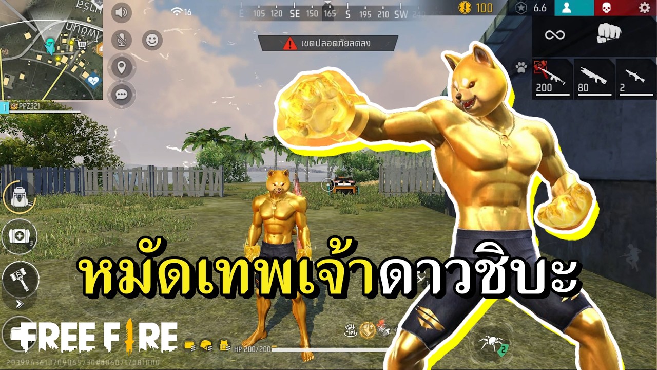 หมัดหมาทอง ใครมองโดนต่อย