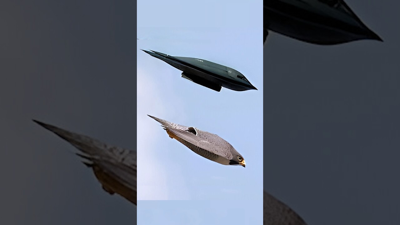 Falcon&rsquo;s Design Behind B-2 stealth Bomber #B2Bomber #Aviation #shorts