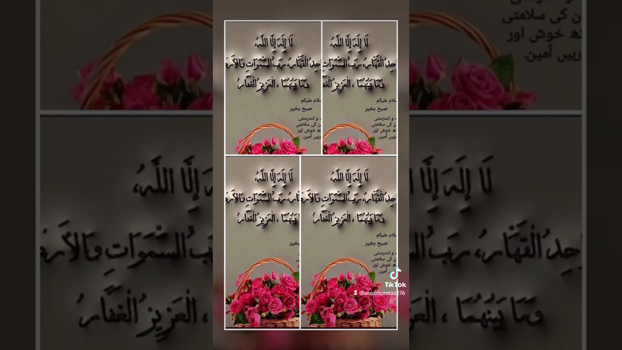 8 February 2026