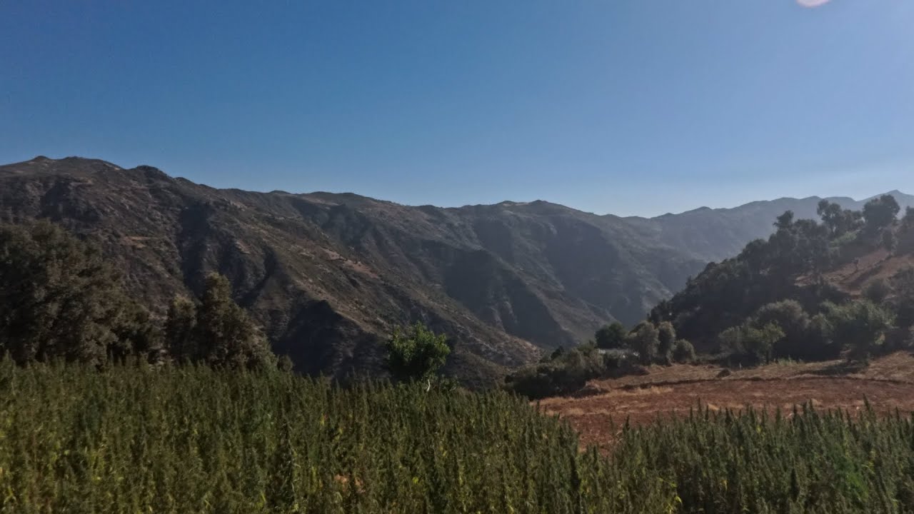 3 days in a farm in Ktama, Rif, Morocco - August 2025
