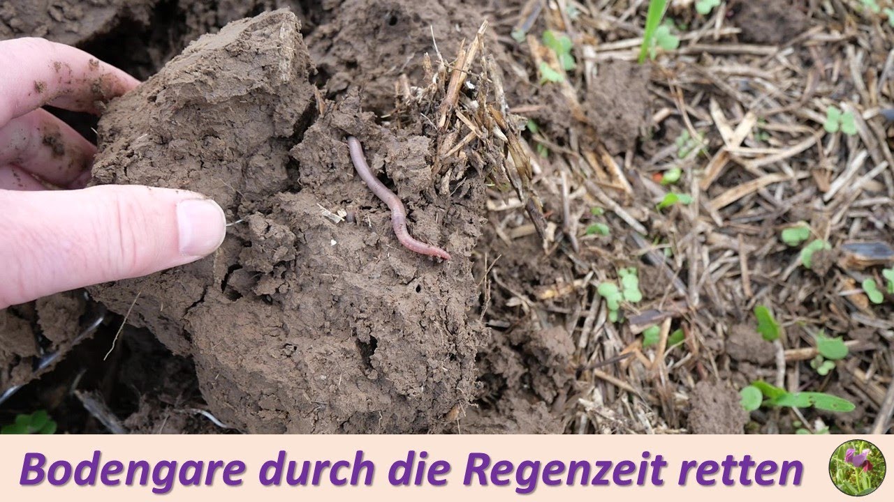 Die Bodengare &uuml;ber die Regenzeit retten