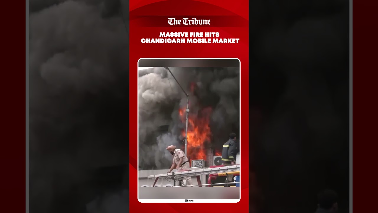 Fire breaks out at mobile market in Chandigarh Sector 22; fire tenders rush to control blaze.