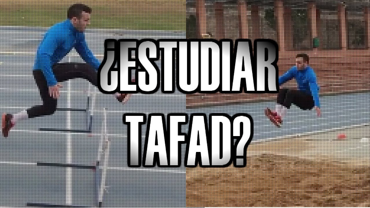 ESTUDIAR TAFAD ¿VALE LA PENA? ¡MI EXPERIENCIA!