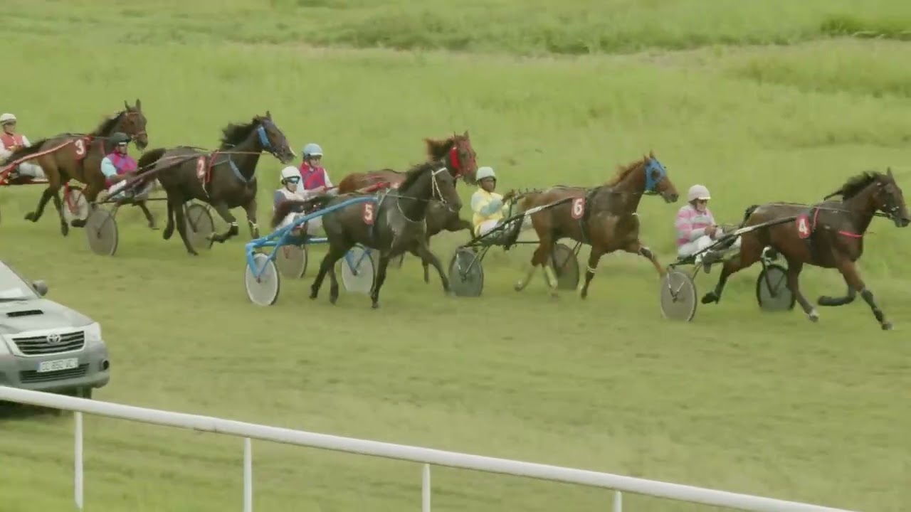 Course 1 PRIX DES PITONS 08/02/26