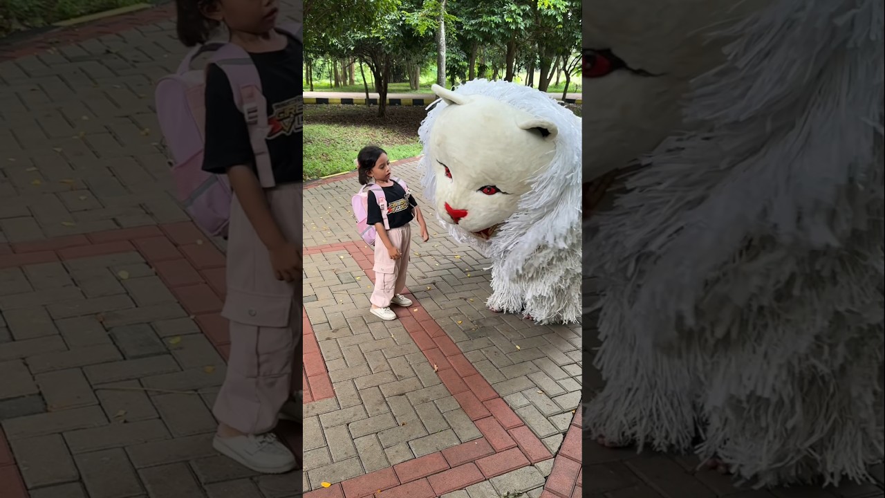 Alika Pulang sekolah dimakan can macanan