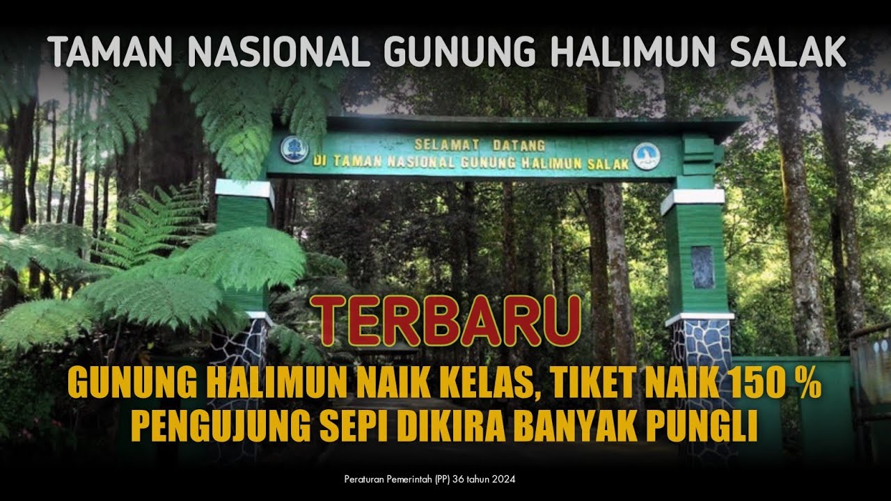 KUNJUNGAN WISATAWAN MENURUN - Tarif Terbaru Taman Nasional Gunung Halimun Salak Bogor Naik