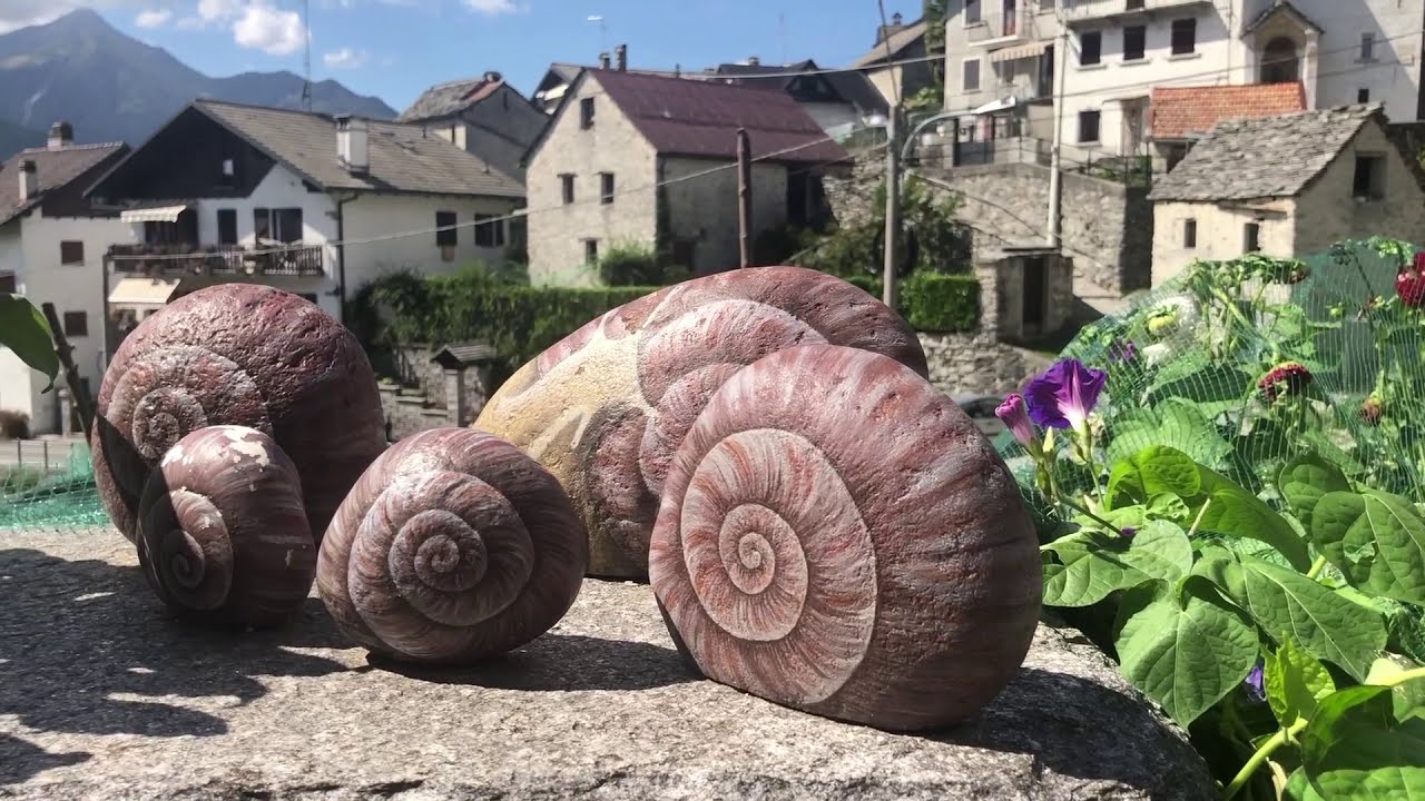Le pietre selvatiche - Villette, Valle Vigezzo