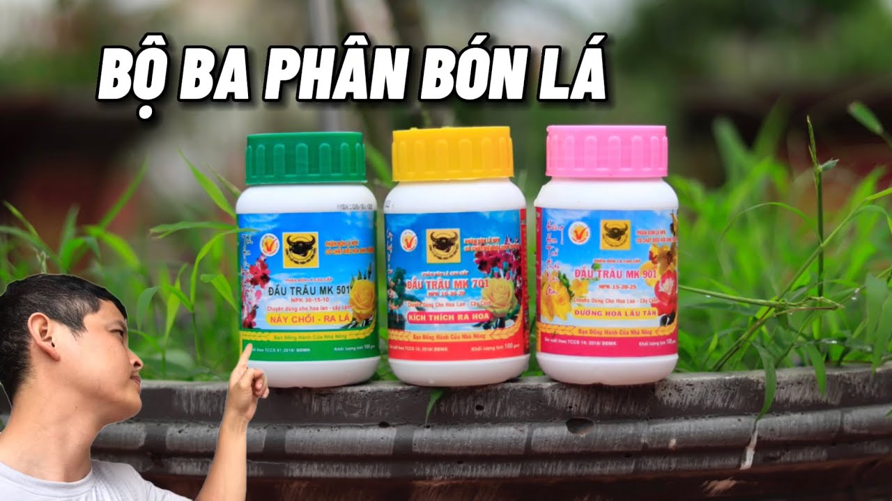 Bộ ba ph&acirc;n b&oacute;n l&aacute; cực tốt cho hoa Hồng trong vườn nh&agrave;