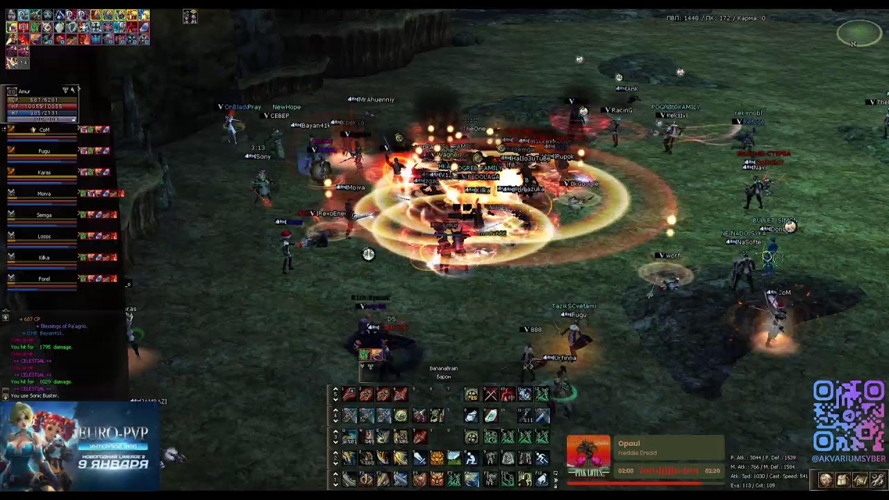 ЭПИКИ / Euro-PvP x100 / SYBER