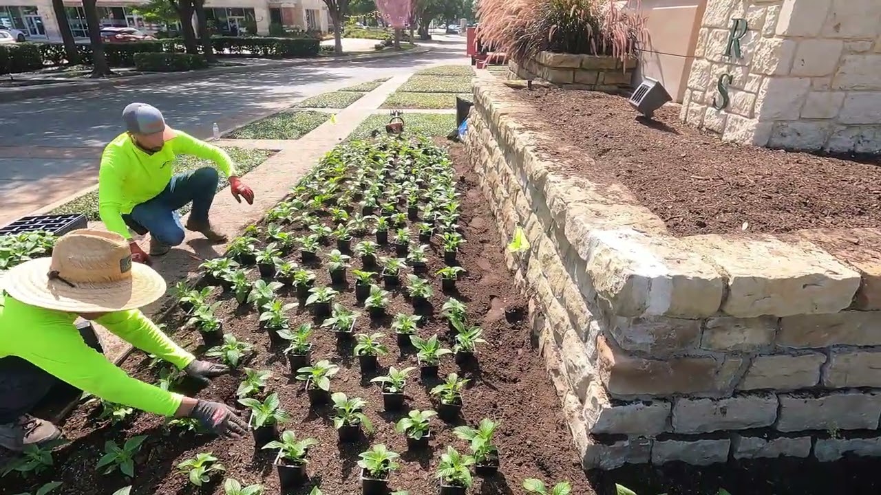 Commercial Flower Installation | Planting Seasonal Color