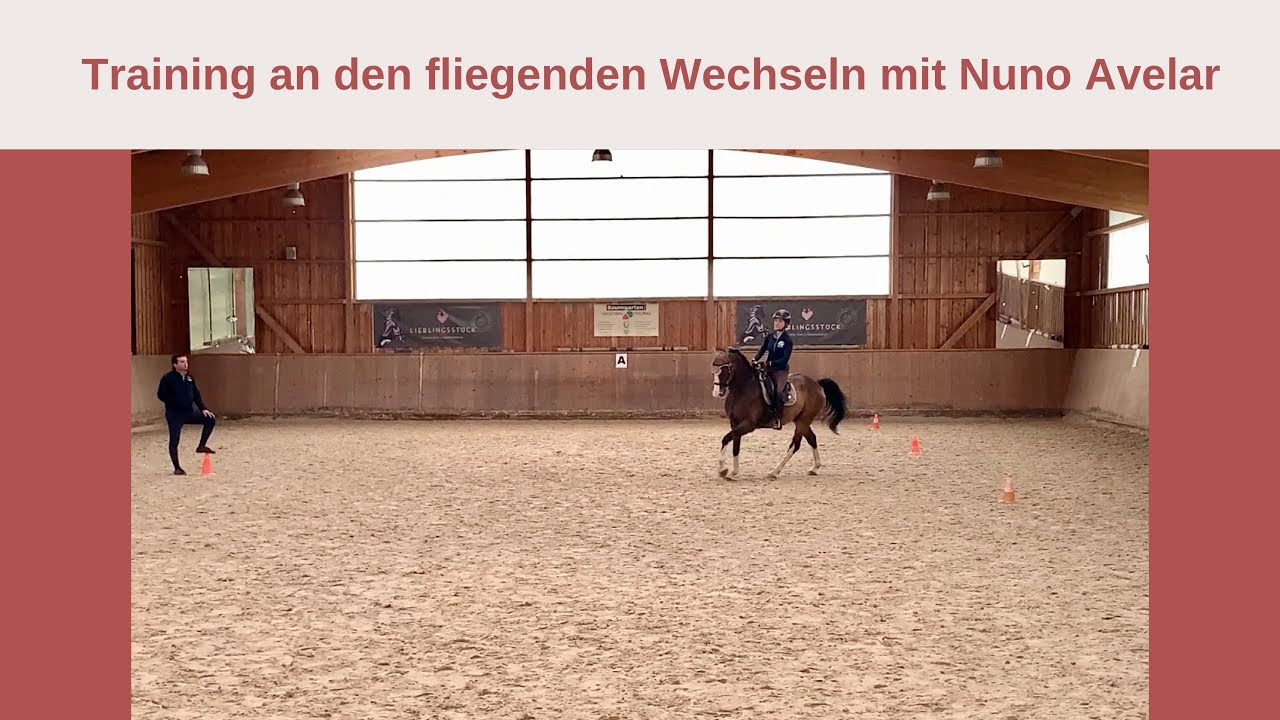 Fliegende Wechsel, Training mit Nuno Avelar -mit Kommentar