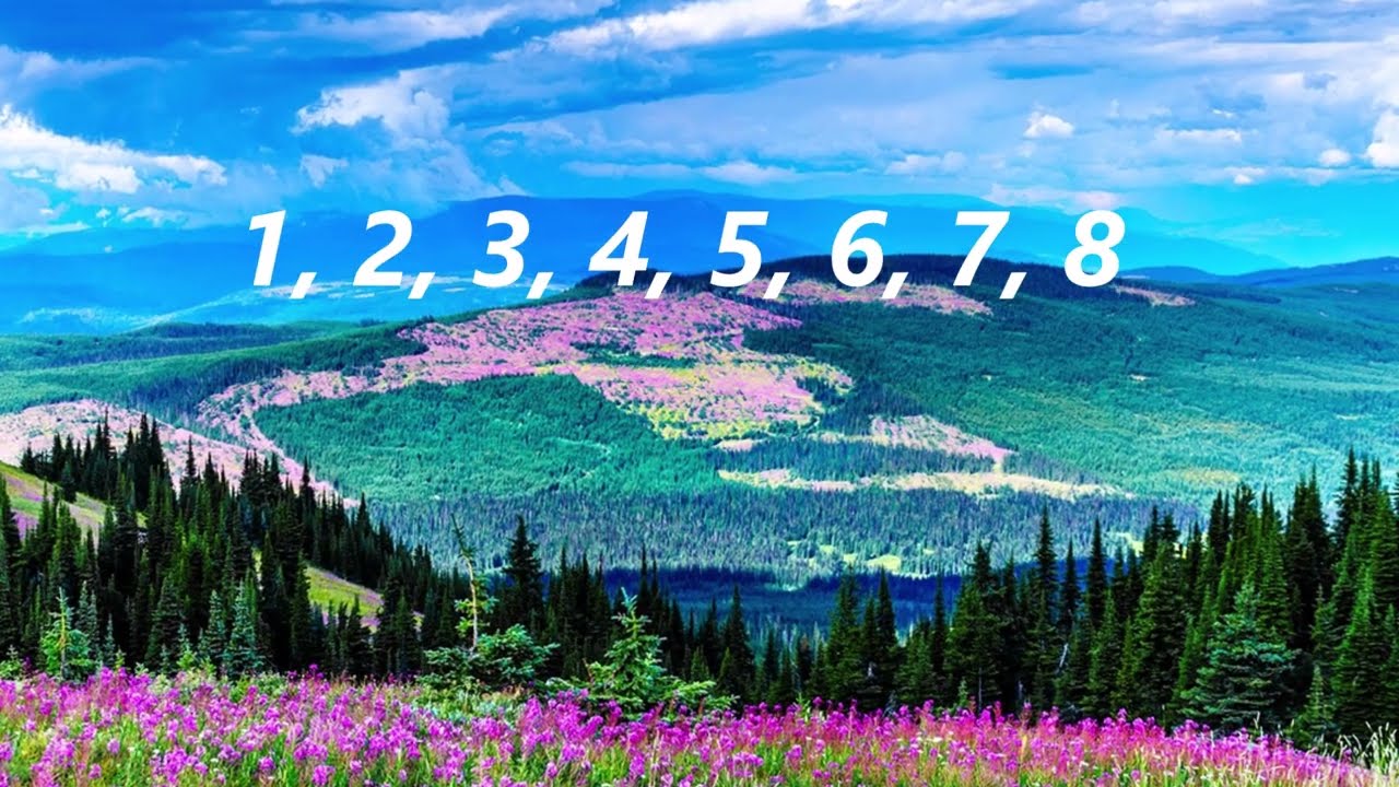 ВГ