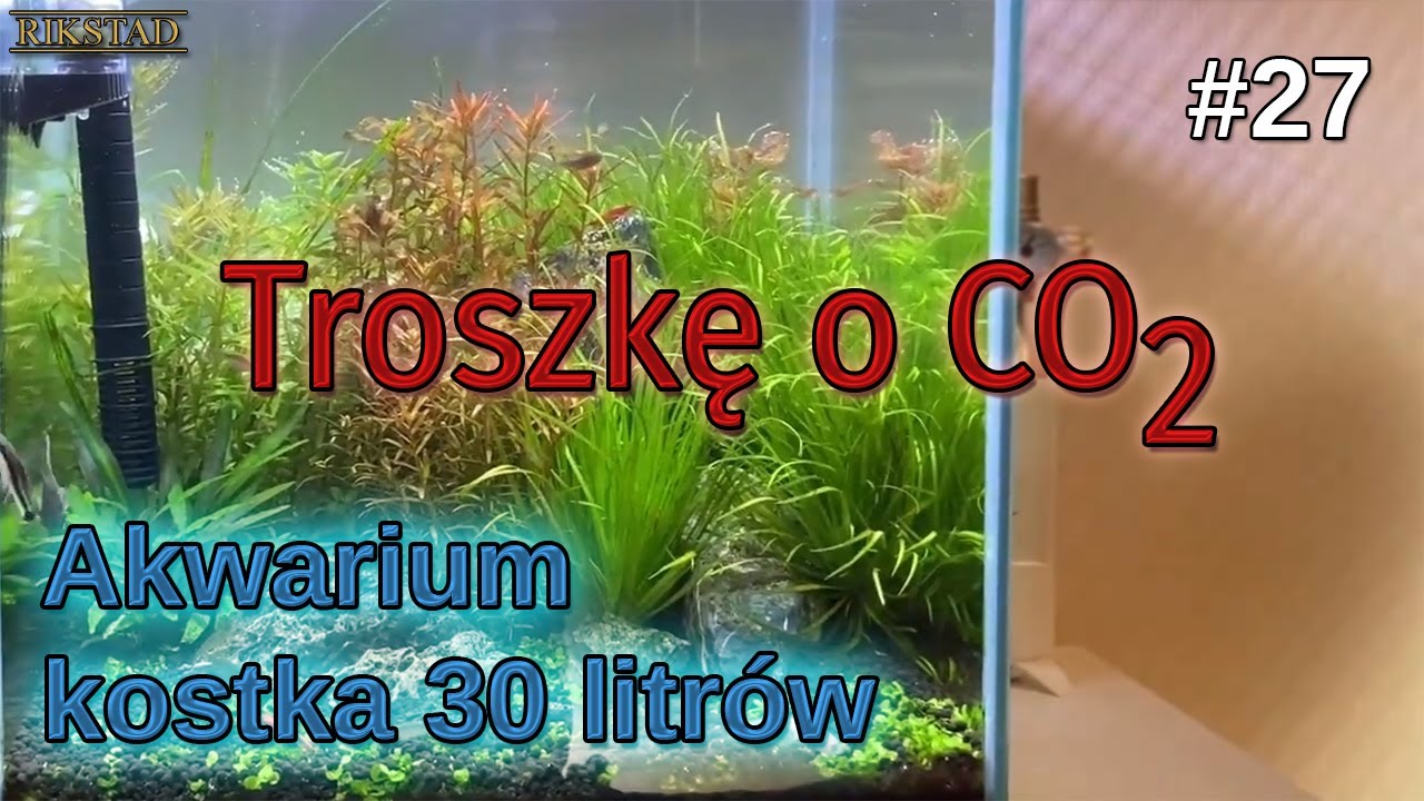 27 - Akwarium 30l kostka tydzień 27 - Wykład o CO2 😁😜