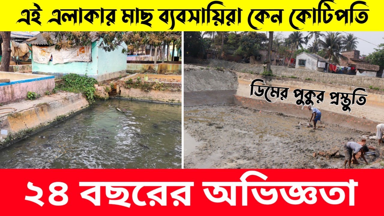 পশ্চিমবঙ্গের এই সব এলাকায় দেশীয় মাছ চাষের প্রবণতা কম কেন জানতে ভিডিওটি দেখুন